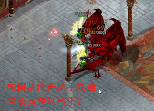 ��δӴ������ֿ��ٳɳ�Ϊ��Ϸ���֣�
