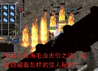 ������ܺ�ë�����֮�գ����������������ľ������ܣ�