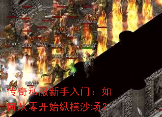 传奇私服新手入门:如何从零开始纵横沙场? 传奇私服新手入门:如何从零开始纵横沙场?