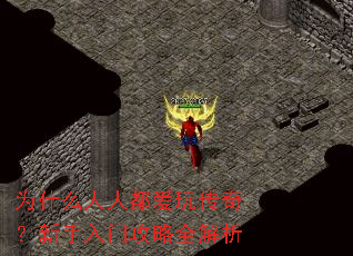 Ϊʲô���˶����洫�棿�������Ź���ȫ����