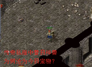 传奇私服中昔日神兽为何沦为今日宠物? 传奇私服中昔日神兽为何沦为今日宠物?