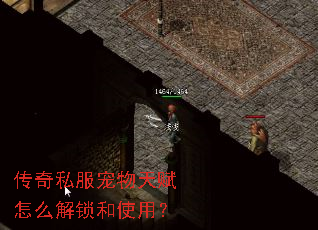 传奇私服宠物天赋怎么解锁和使用? 传奇私服宠物天赋怎么解锁和使用?