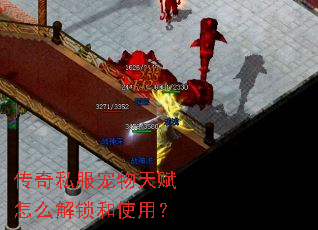 传奇私服宠物天赋怎么解锁和使用? 传奇私服宠物天赋怎么解锁和使用?