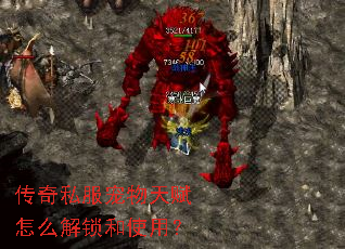 传奇私服宠物天赋怎么解锁和使用? 传奇私服宠物天赋怎么解锁和使用?