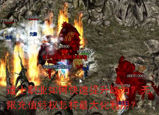 道士职业如何快速提升战力?无限充值特权怎样最大化利用? 道士职业如何快速提升战力?无限充值特权怎样最大化利用?
