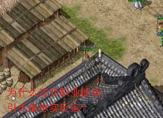 Ϊʲô��ʦְҵ������������ʵ��ң�