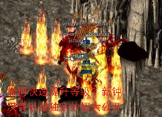 如何快速提升等级?新钟汉良私服独家妙招大公开 如何快速提升等级?新钟汉良私服独家妙招大公开