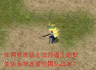 如何根据战士法师道士的职业组合制定最佳团队战术? 如何根据战士法师道士的职业组合制定最佳团队战术?