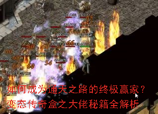 ��γ�Ϊͨ��֮·���ռ�Ӯ�ң���̬�����֮�����ؼ�ȫ����