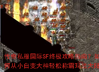 传奇私服国际SF终极攻略指南?如何从小白变大神轻松称霸玛法大陆? 传奇私服国际SF终极攻略指南?如何从小白变大神轻松称霸玛法大陆?
