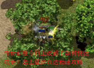 传奇新服今日上线新手如何快速成长?踏上征途直达巅峰攻略 传奇新服今日上线新手如何快速成长?踏上征途直达巅峰攻略
