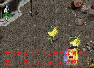 传奇新服今日上线新手如何快速成长?踏上征途直达巅峰攻略 传奇新服今日上线新手如何快速成长?踏上征途直达巅峰攻略