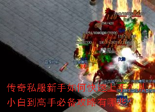 传奇私服新手如何快速上手?从小白到高手必备攻略有哪些? 传奇私服新手如何快速上手?从小白到高手必备攻略有哪些?