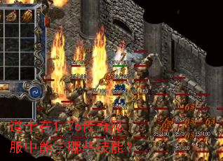 ��ʿ��1.76����˽������ѧ��Щ���ܣ�