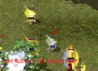 ��θ�Ч���봫����﹥�ǻ��