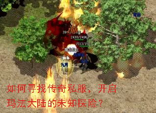 如何寻找传奇私服,开启玛法大陆的未知探险? 如何寻找传奇私服,开启玛法大陆的未知探险?