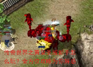 传奇世界之黄泉圣域新手怎么玩?全方位攻略为你解惑 传奇世界之黄泉圣域新手怎么玩?全方位攻略为你解惑