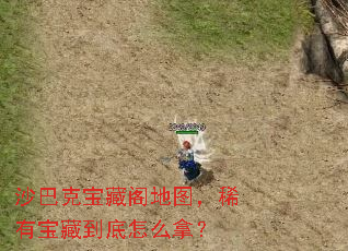 沙巴克宝藏阁地图,稀有宝藏到底怎么拿? 沙巴克宝藏阁地图,稀有宝藏到底怎么拿?