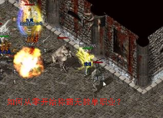 如何从零开始称霸无赦单职业? 如何从零开始称霸无赦单职业?