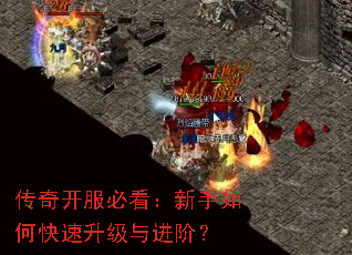 传奇开服必看:新手如何快速升级与进阶? 传奇开服必看:新手如何快速升级与进阶?