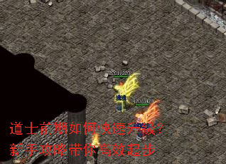 道士前期如何快速升级?新手攻略带你高效起步 道士前期如何快速升级?新手攻略带你高效起步