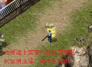 传奇道士宝宝与法师宝宝区别如何选择?哪个更实用? 传奇道士宝宝与法师宝宝区别如何选择?哪个更实用?