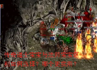 传奇道士宝宝与法师宝宝区别如何选择?哪个更实用? 传奇道士宝宝与法师宝宝区别如何选择?哪个更实用?