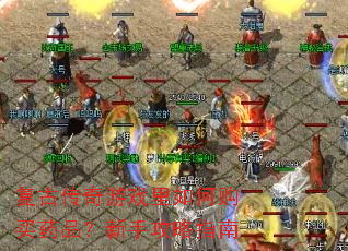 ���Ŵ�����Ϸ����ι���ҩƷ�����ֹ���ָ��