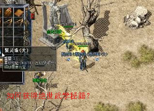 如何获得绝世武学秘籍? 如何获得绝世武学秘籍?