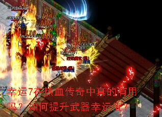 ����7����Ѫ������������������������������ֵ��