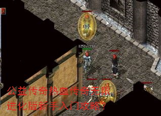 ���洫����Ѫ�������޽������������Ź��ԣ�
