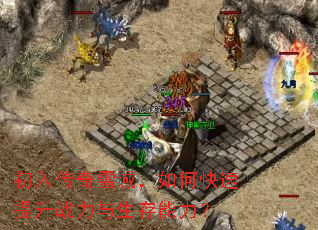 ���봫��ѩ����ο�������ս��������������
