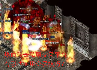 ��Ѫ����˽������ƽ̨����Щʵ�ý��׼��ɣ�