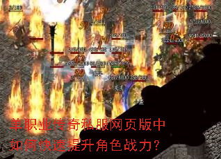 ��ְҵ����˽����ҳ������ο���������ɫս����