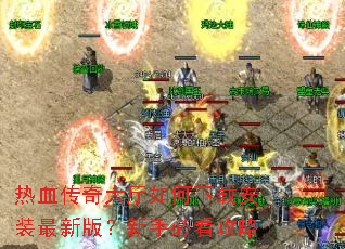 ��Ѫ�������������ذ�װ���°棿���ֱؿ�����