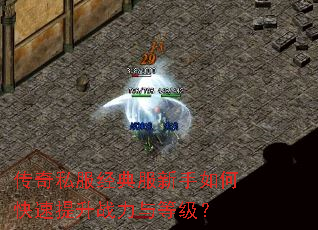 传奇私服经典服新手如何快速提升战力与等级? 传奇私服经典服新手如何快速提升战力与等级?