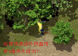 如何快速提升热血传奇s服角色战力? 如何快速提升热血传奇s服角色战力?
