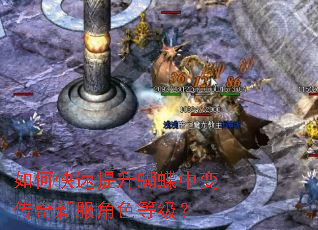 如何快速提升蝴蝶中变传奇新服角色等级? 如何快速提升蝴蝶中变传奇新服角色等级?