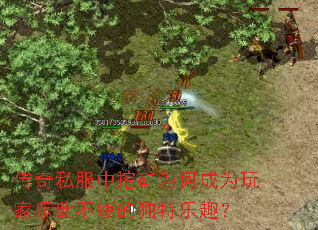 传奇私服中挖矿为何成为玩家乐此不疲的独特乐趣? 传奇私服中挖矿为何成为玩家乐此不疲的独特乐趣?