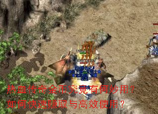 热血传奇金币究竟有何妙用?如何快速赚取与高效使用? 热血传奇金币究竟有何妙用?如何快速赚取与高效使用?