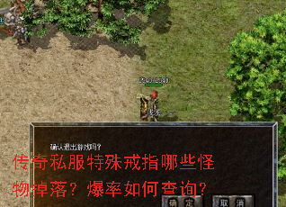 传奇私服特殊戒指哪些怪物掉落?爆率如何查询? 传奇私服特殊戒指哪些怪物掉落?爆率如何查询?