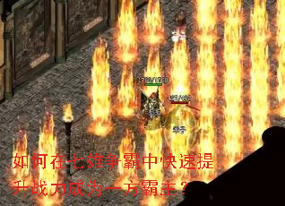 如何在七雄争霸中快速提升战力成为一方霸主? 如何在七雄争霸中快速提升战力成为一方霸主?