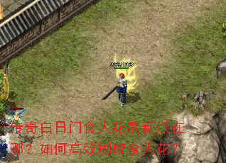 传奇白日门食人花刷新点在哪?如何高效刷取食人花? 传奇白日门食人花刷新点在哪?如何高效刷取食人花?