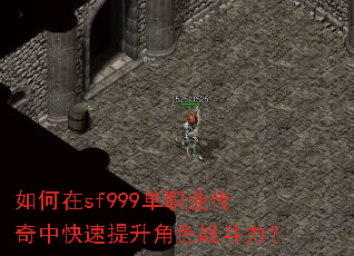 如何在sf999单职业传奇中快速提升角色战斗力? 如何在sf999单职业传奇中快速提升角色战斗力?