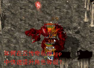 如何在云传奇私服app中快速提升角色等级? 如何在云传奇私服app中快速提升角色等级?
