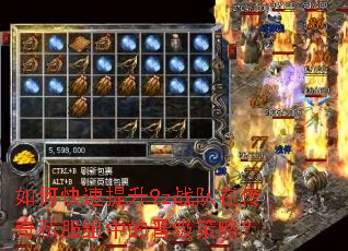如何快速提升9z战队在传奇私服组中的晋级策略? 如何快速提升9z战队在传奇私服组中的晋级策略?