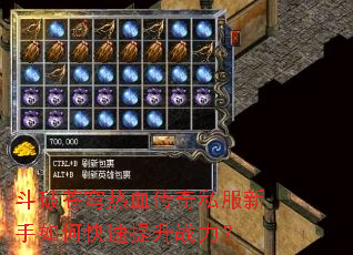 斗破苍穹热血传奇私服新手如何快速提升战力? 斗破苍穹热血传奇私服新手如何快速提升战力?