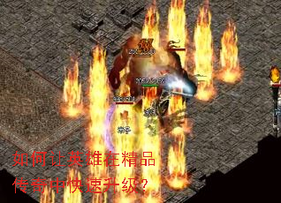 如何让英雄在精品传奇中快速升级? 如何让英雄在精品传奇中快速升级?