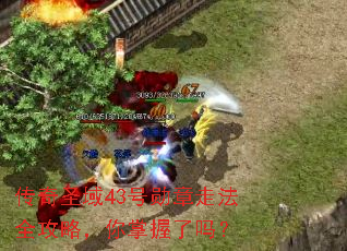 传奇圣域43号勋章走法全攻略,你掌握了吗? 传奇圣域43号勋章走法全攻略,你掌握了吗?