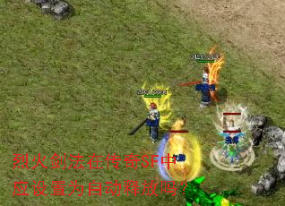 烈火剑法在传奇SF中应设置为自动释放吗? 烈火剑法在传奇SF中应设置为自动释放吗?
